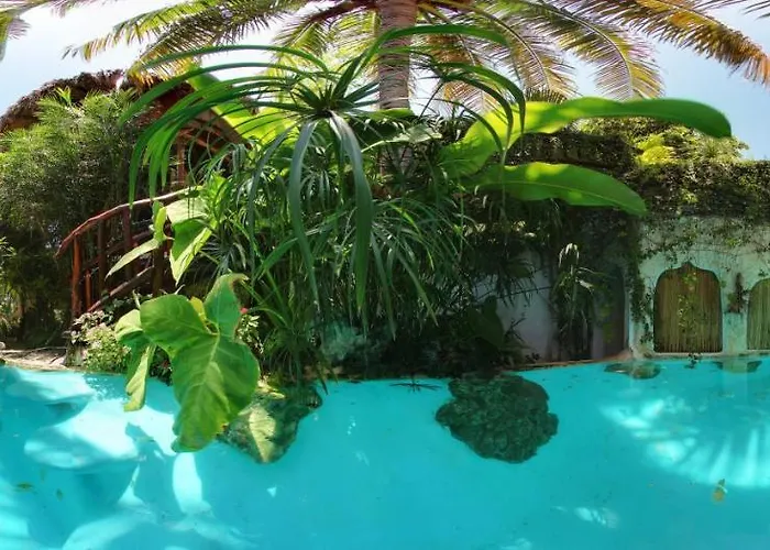 La Quinta Orquidea Puerto Morelos