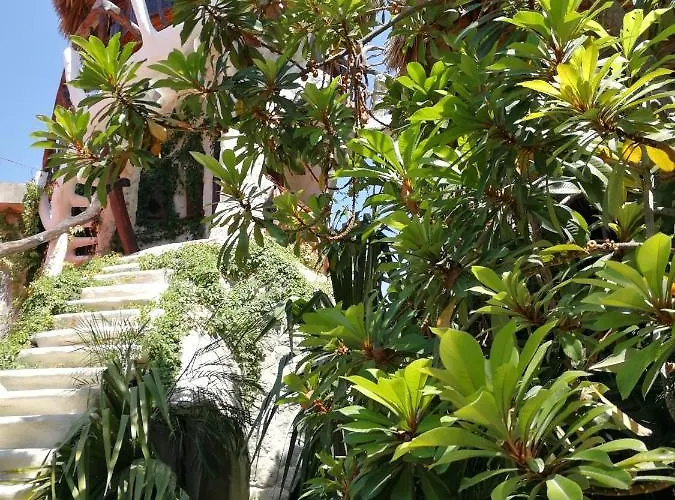 La Quinta Orquidea *