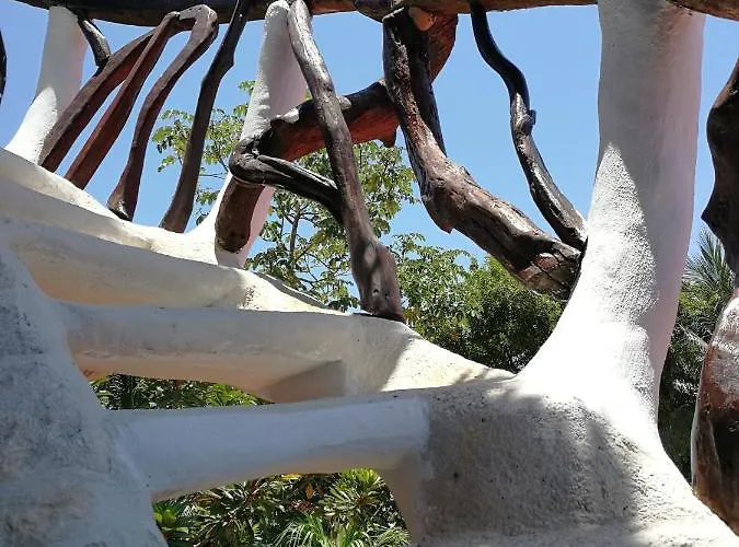 La Quinta Orquidea