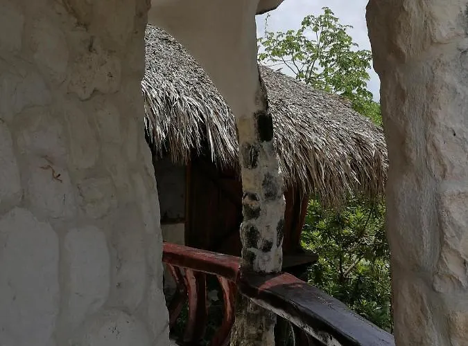 La Quinta Orquidea Puerto Morelos